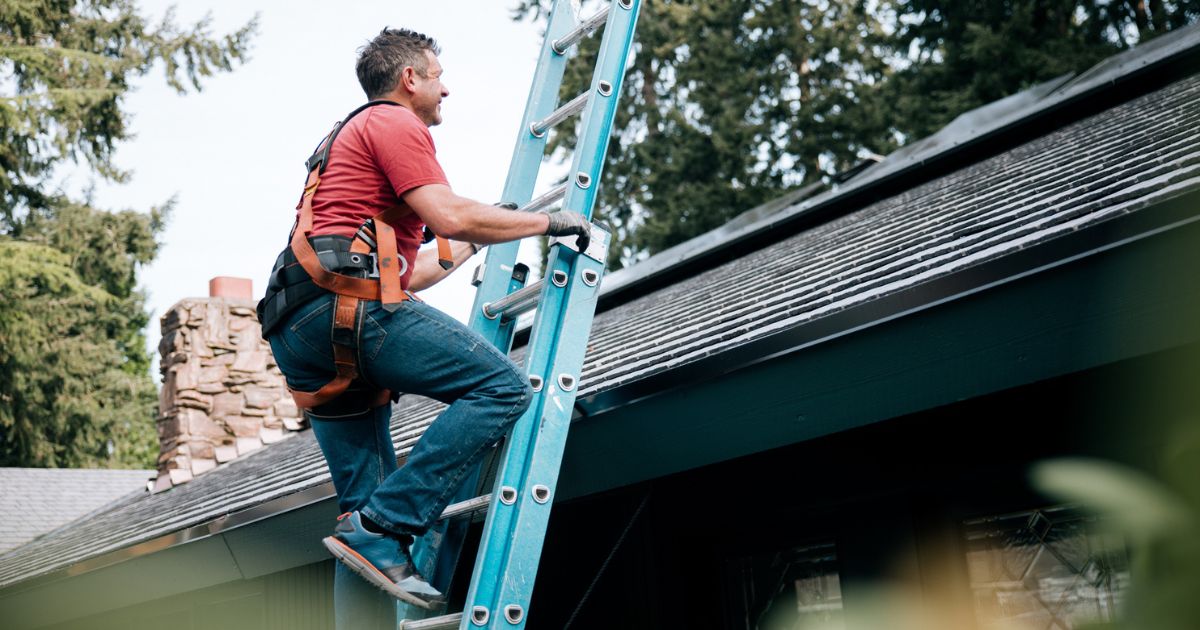 Professional roofer on ladder